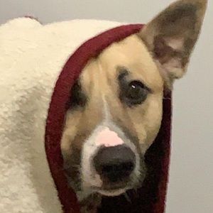 Meet your Posher, Milton